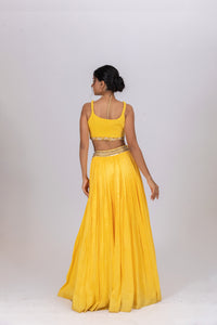 Abha Lehenga Set